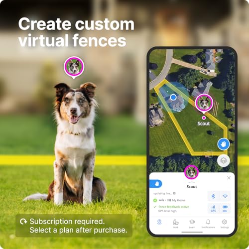 Graphite Waterproof GPS Dog Collar M56843
