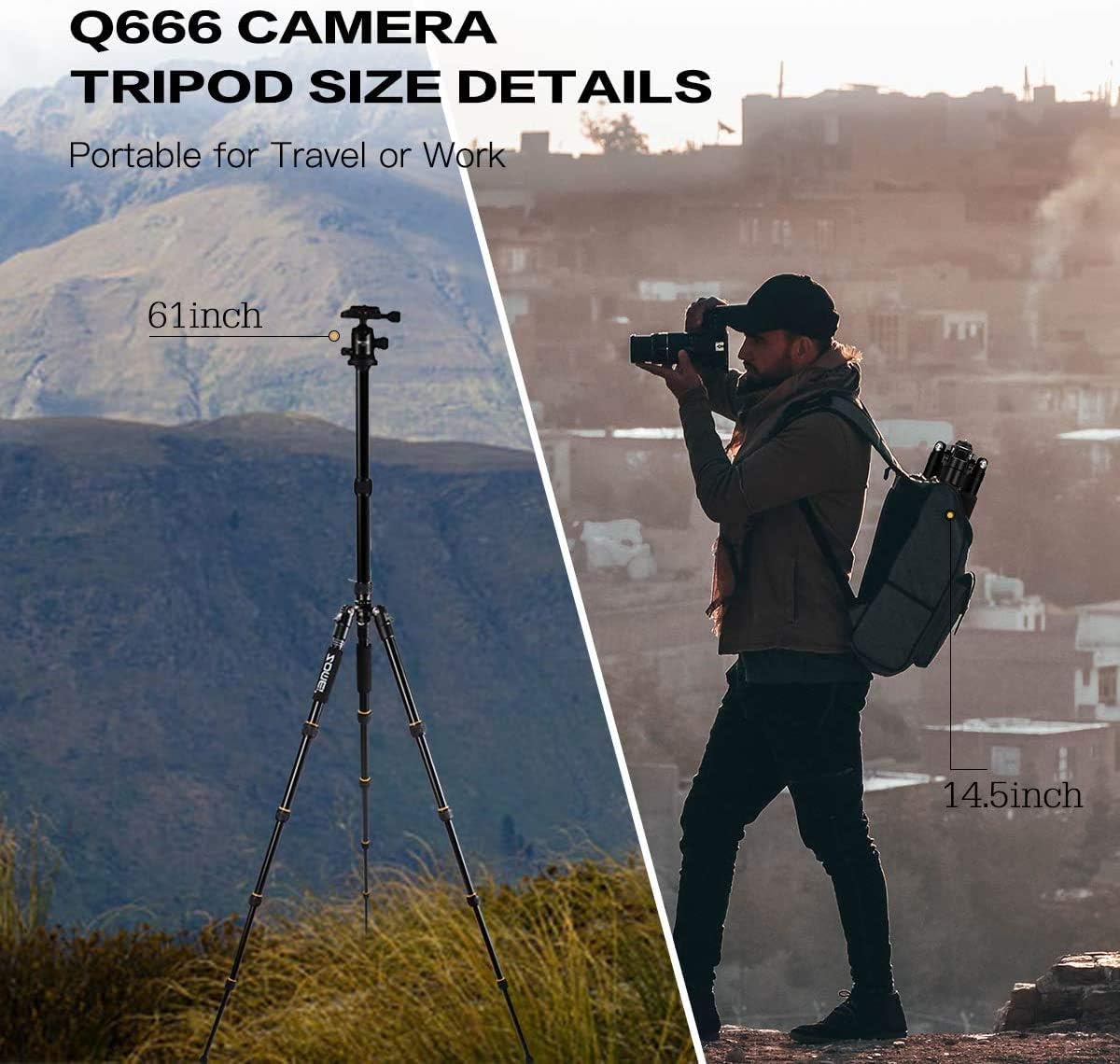 Camera Tripod with Ball Head Quick Release Plate and Carrying Case T686648