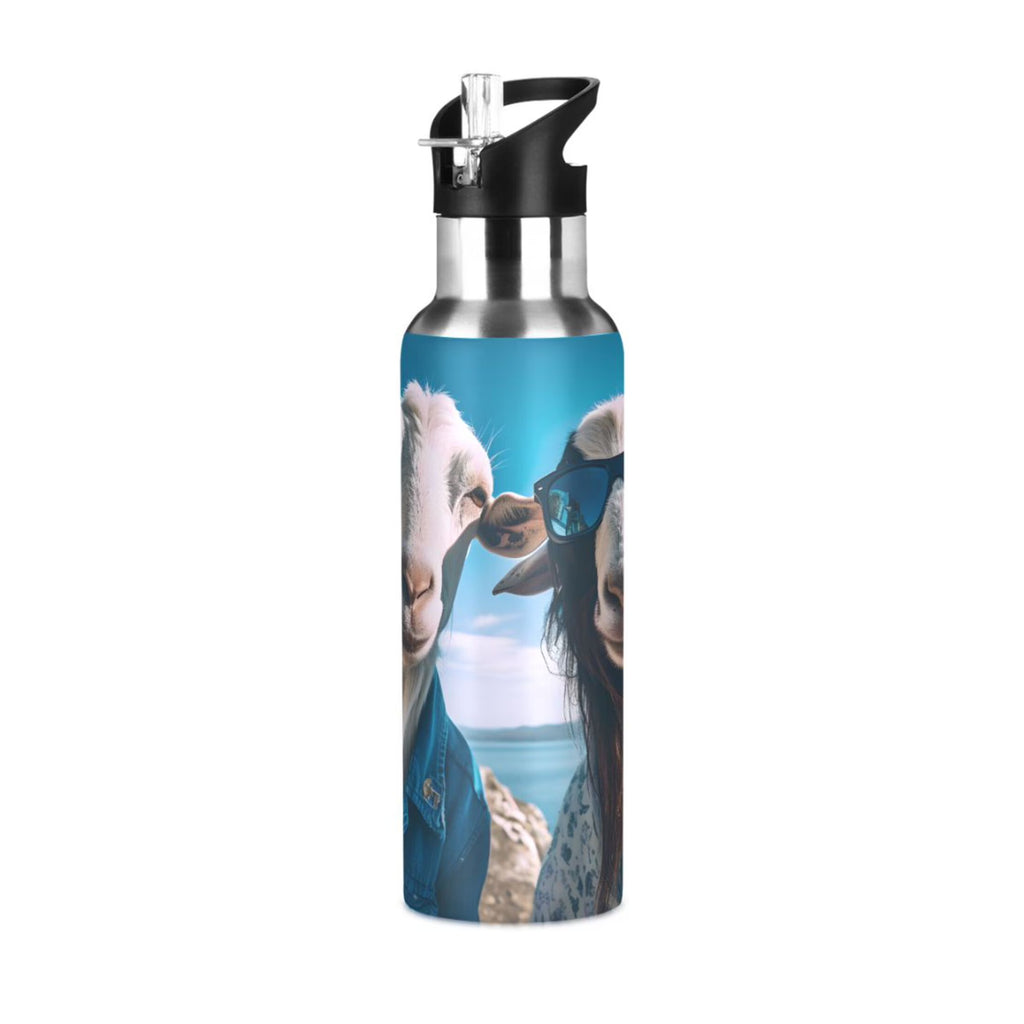 20 oz Insulated Stainless Steel Water Bottle with Straw Lid F47032