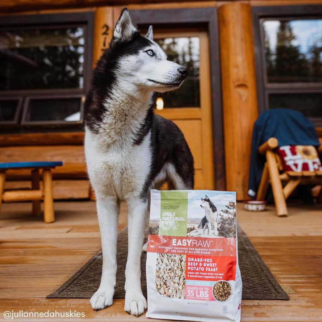 Dehydrated Dog Food T62703