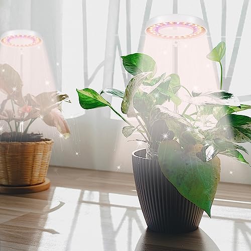 2 Pack LED Grow Light with Timer W655441