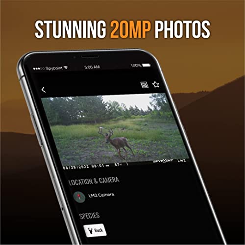 20MP Infrared Trail Camera with 90' Detection Range and 32GB Micro SD Card N2625