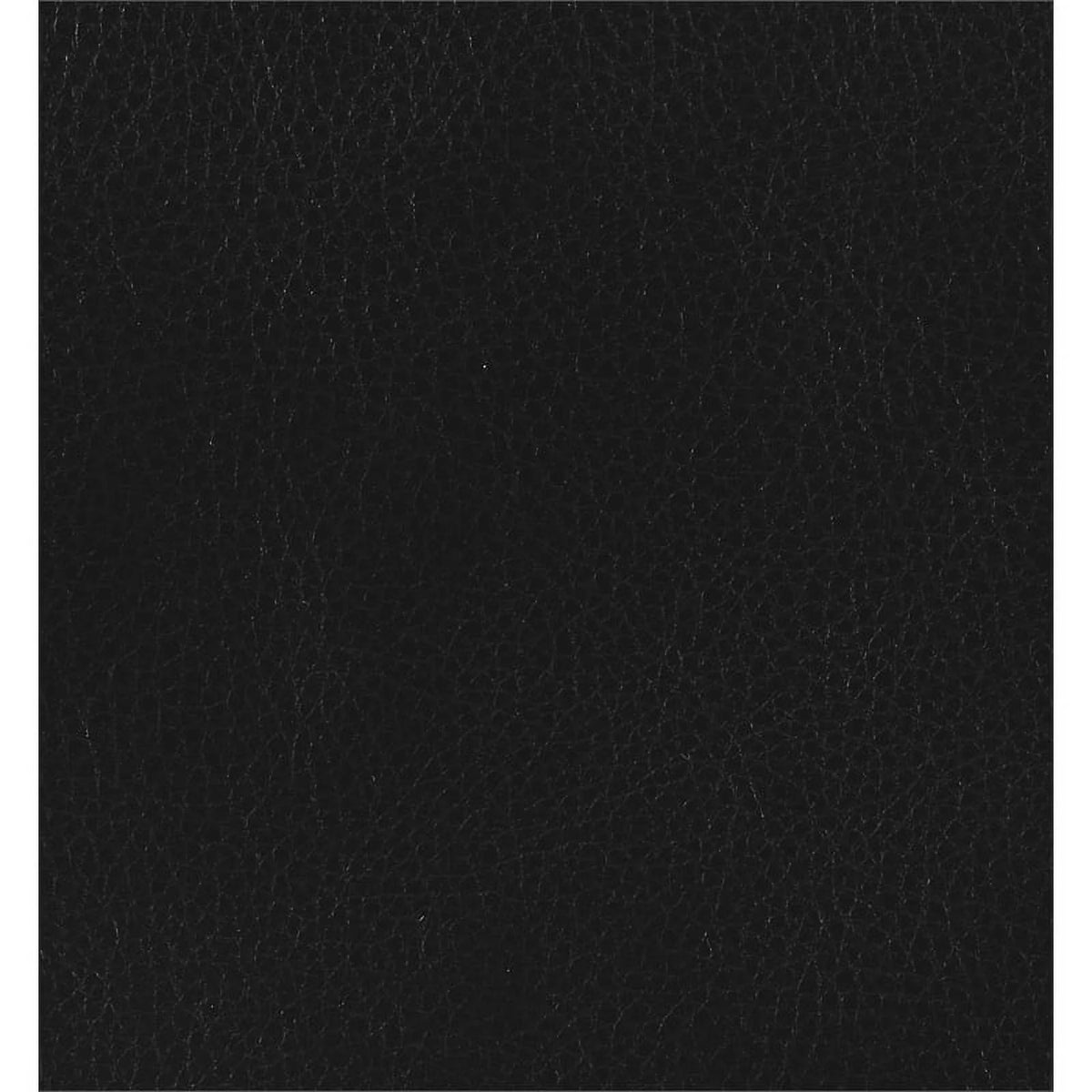 Modern Faux Leather Upholstered Turfed Chair in Black L465008