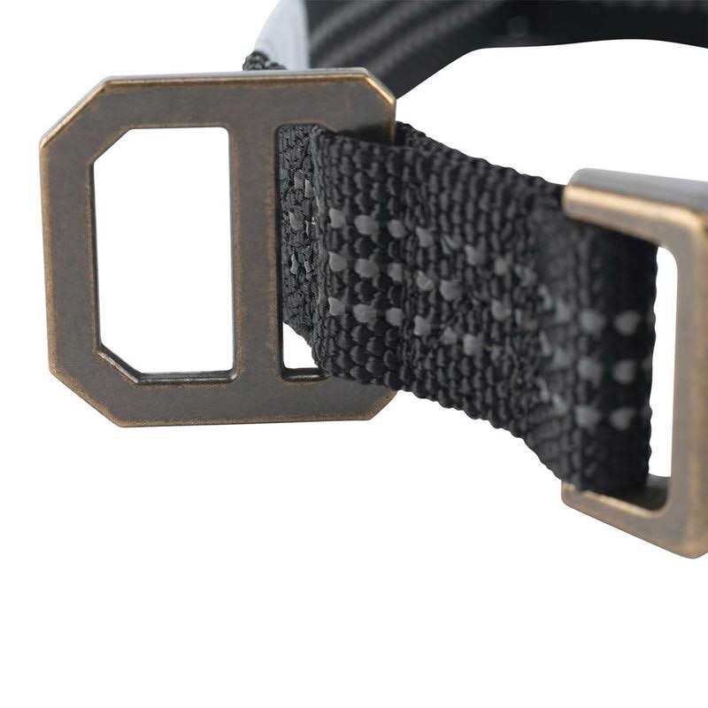 Dog Collar I592
