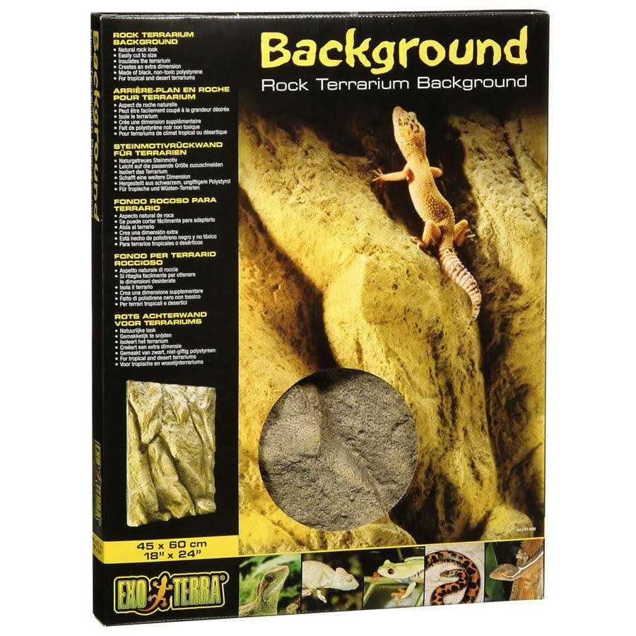Rock Terrarium Background J712321
