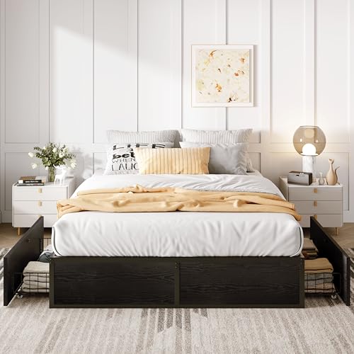 Black Queen Platform Bed Frame with 2 Storage Drawers E293
