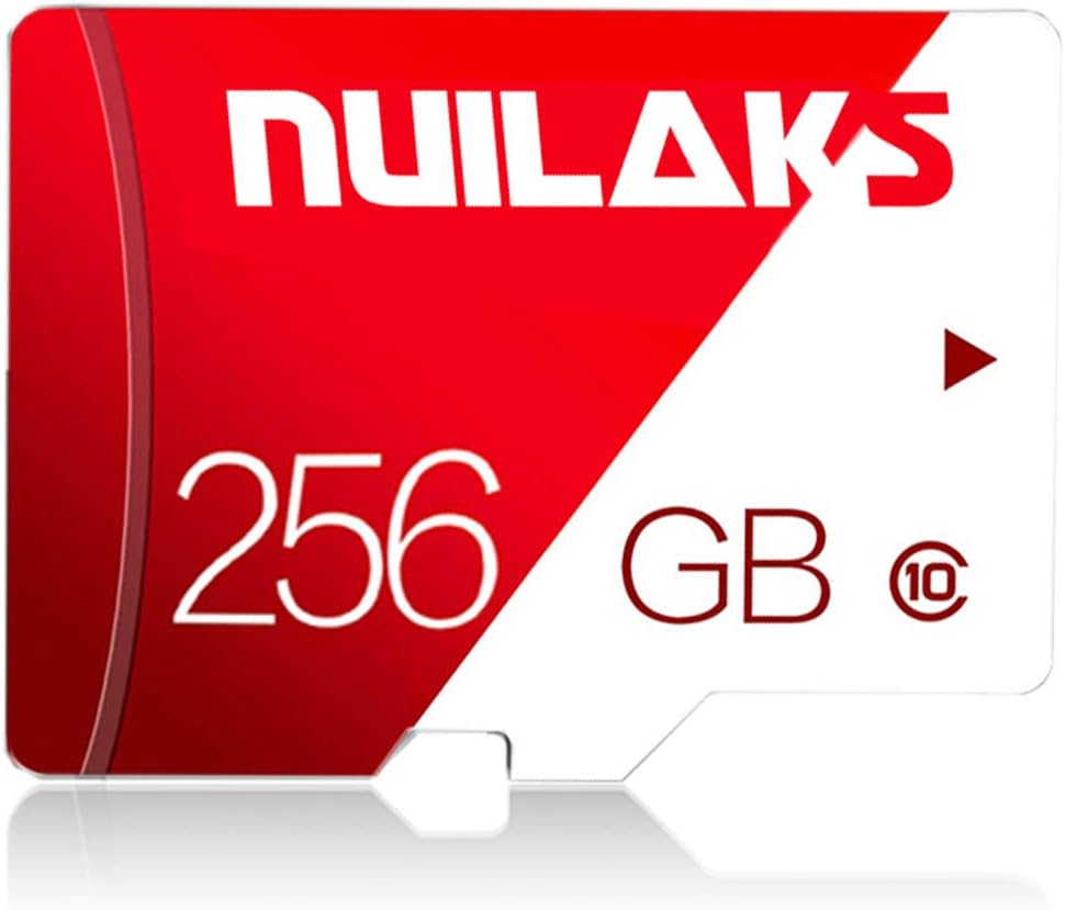 256GB Class 10 Micro SD Card with Adapter Pack of 2 X3162