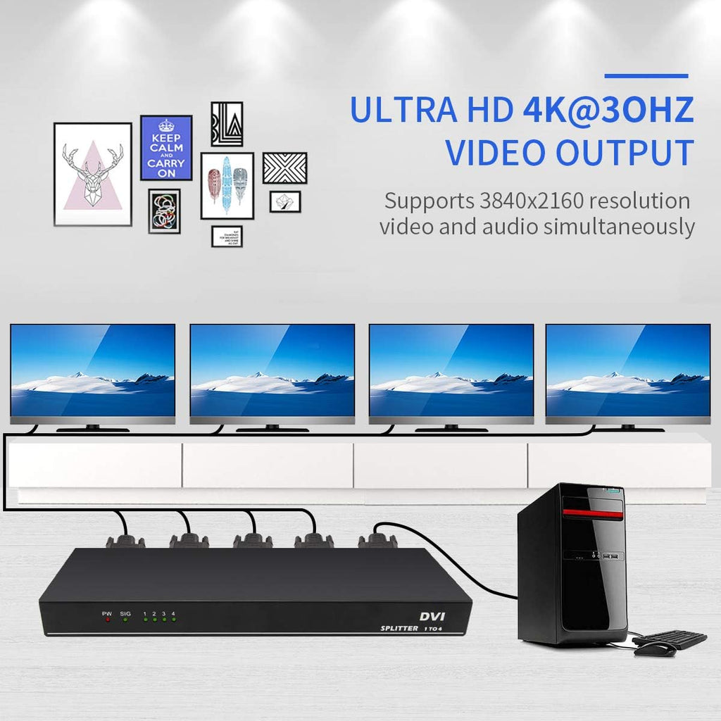 DVI Splitter 1 in 4 Out L9638
