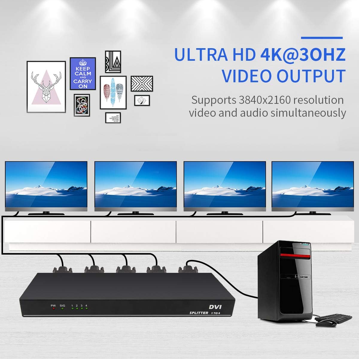 DVI Splitter 1 in 4 Out L9638