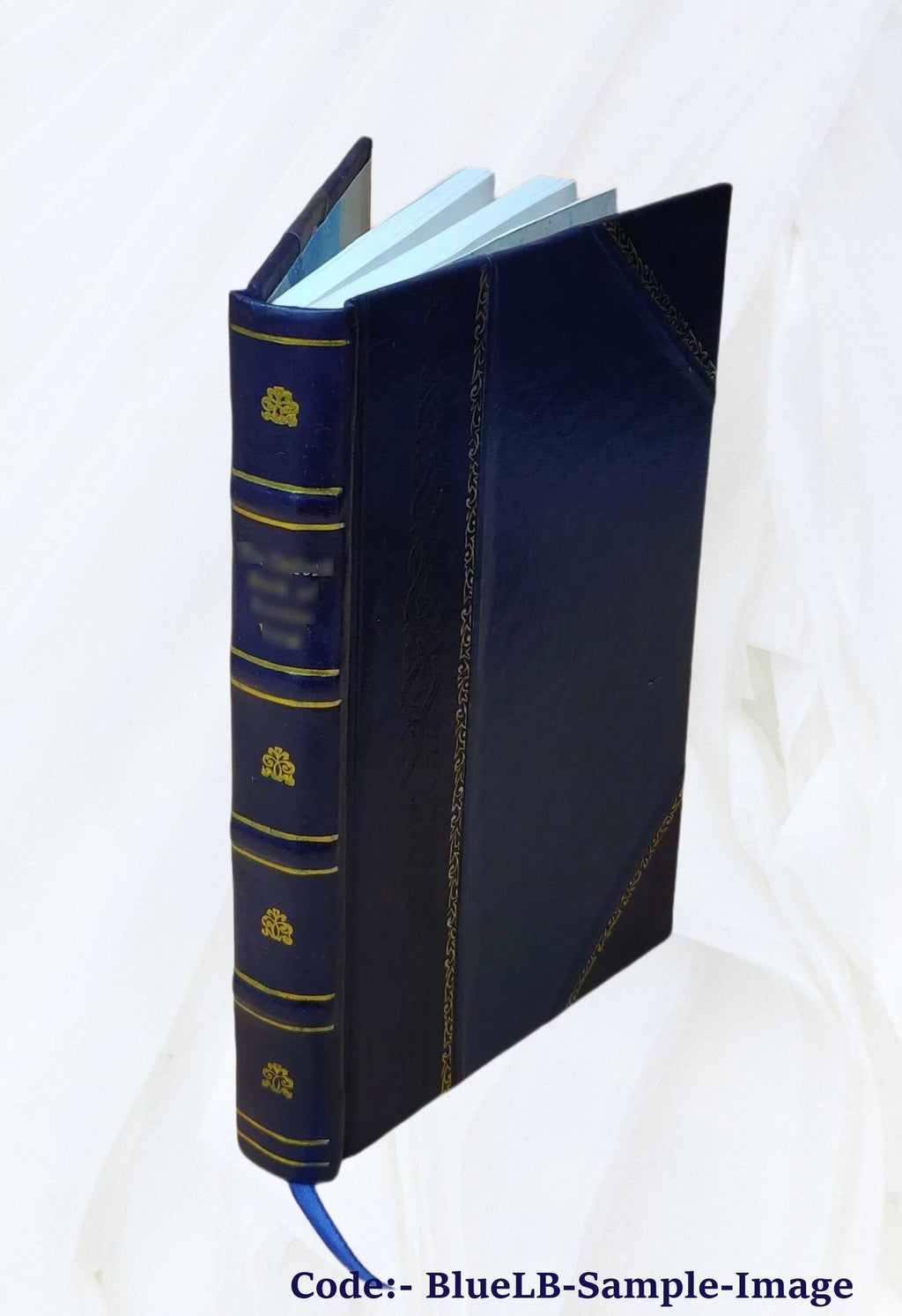 History of the Armistice Class of Lake Erie Consistory Leather Bound A73277