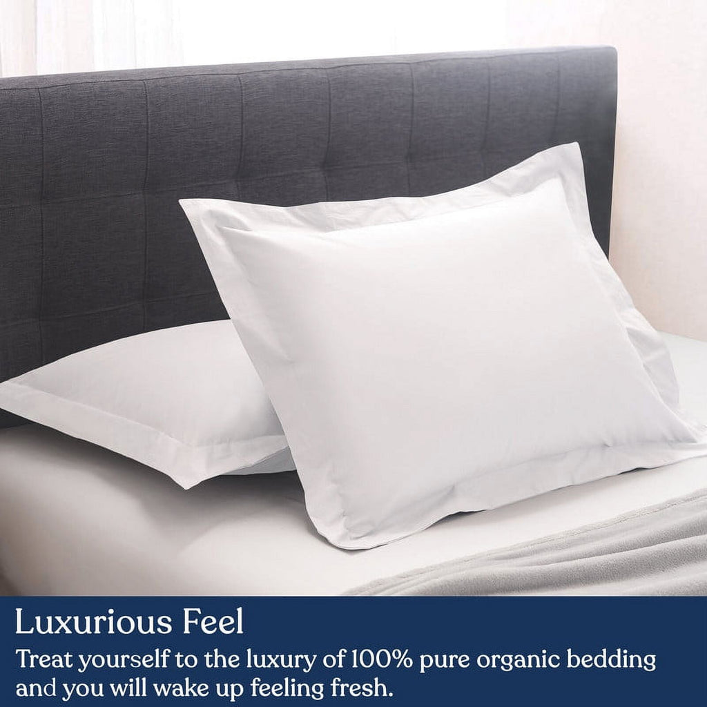 Euro Sham Pack of 2, 100% Organic Cotton, 400 Thread Count O1376
