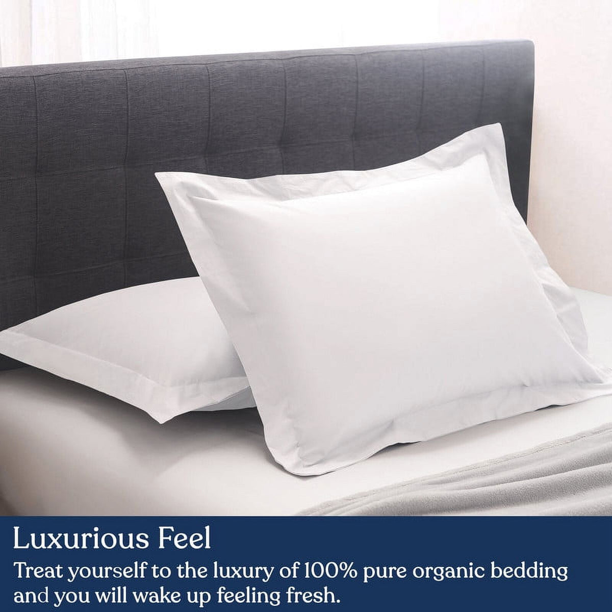 Euro Sham Pack of 2, 100% Organic Cotton, 400 Thread Count O1376
