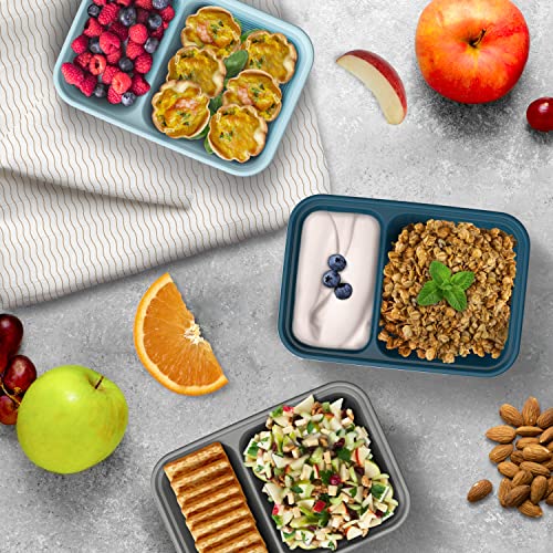 10 Trays & 10 Lids Reusable BPA-Free Snack Containers G40301