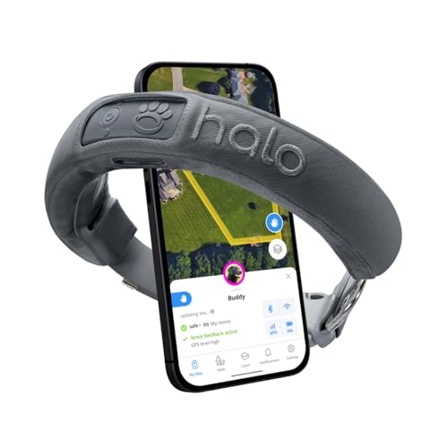Graphite Waterproof GPS Dog Collar M56843