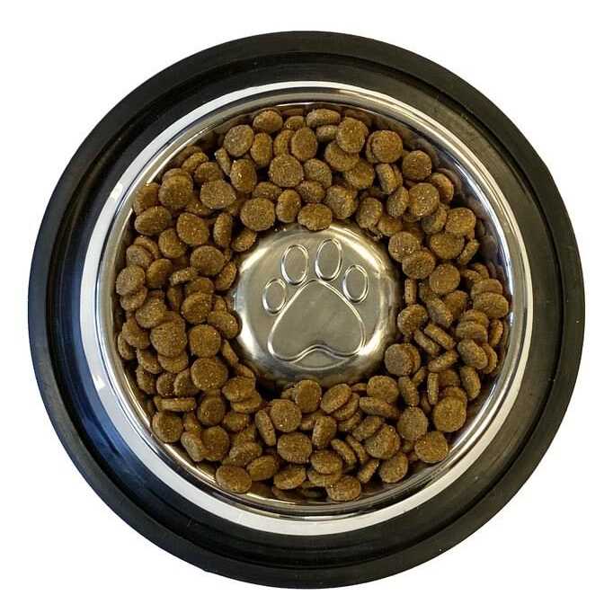 Stainless Steel Slow Feed Bowl Non-Tip & Non-Skid K571