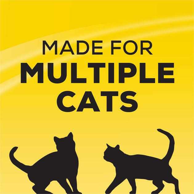 Unscented Non Clumping Cat Litter with Activated Charcoal R93454