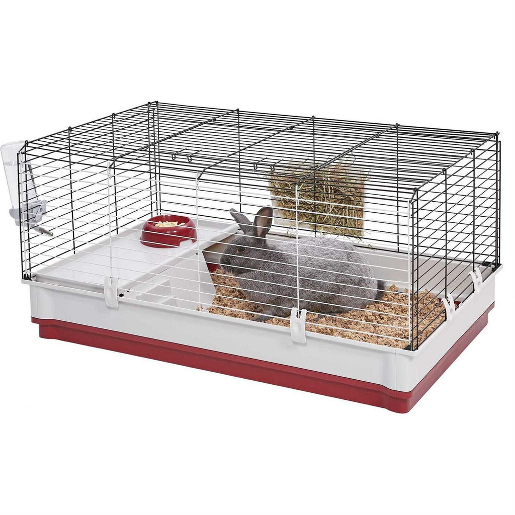 Rabbit Home R316