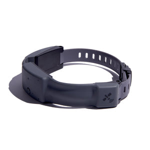 GPS Dog Fence Y957617