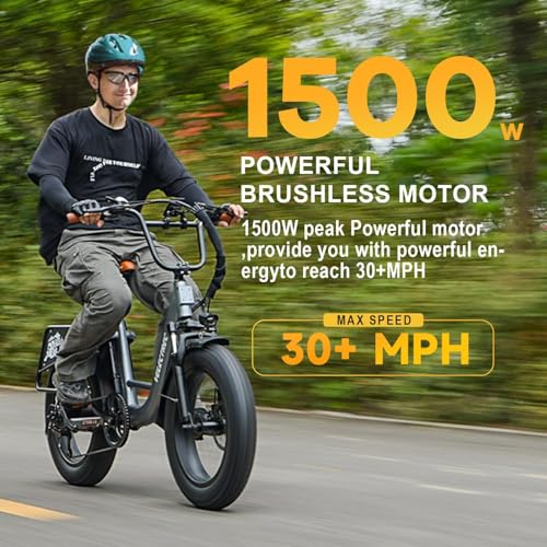 Electric Bike with 1500W Motor, 48V 20Ah Battery, 20" Fat Tire, 7-Speed T440175
