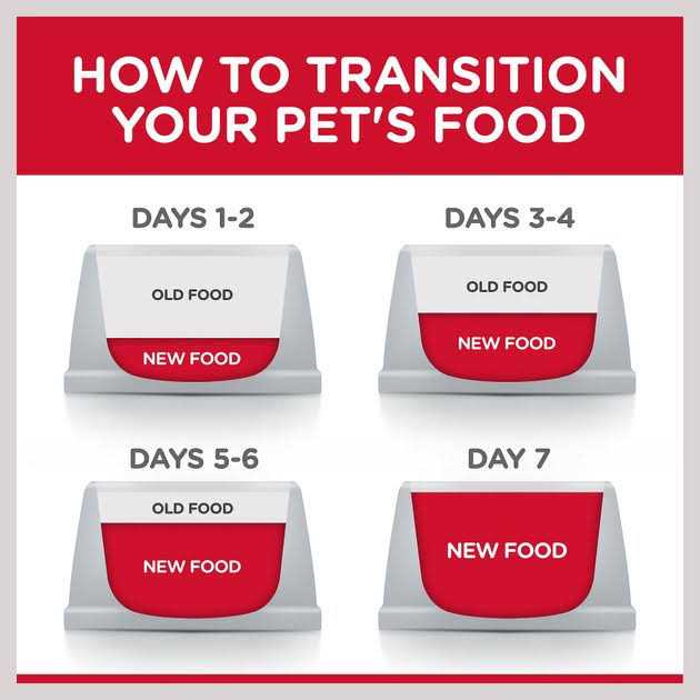 Chicken Adult 7+ Dog Food H819745