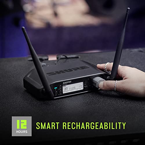 Dual Band Digital Wireless Microphone System with Handheld & Lavalier Mics N1923
