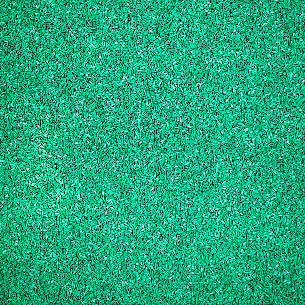 Sahara Bermudagrass Grass Seed, 5 lb. D948