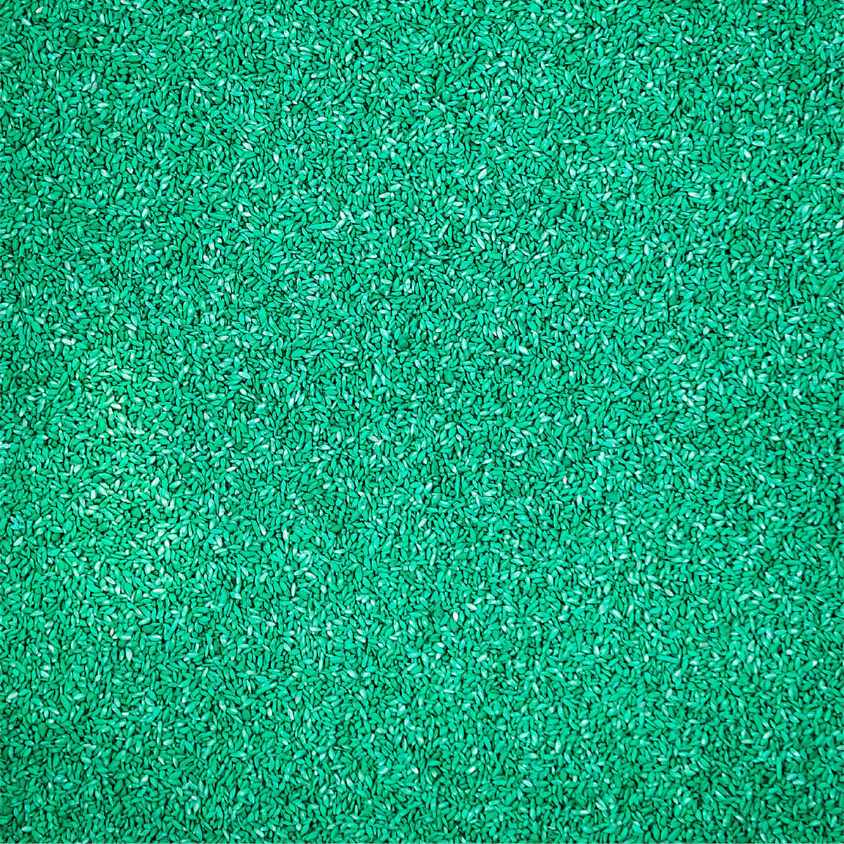 Sahara Bermudagrass Grass Seed, 5 lb. D948