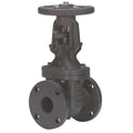 2 In Class 125 Flange Gate Valve W577183