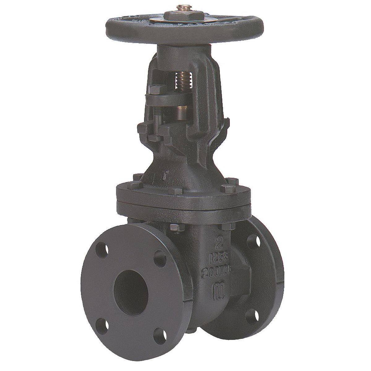 2 In Class 125 Flange Gate Valve W577183