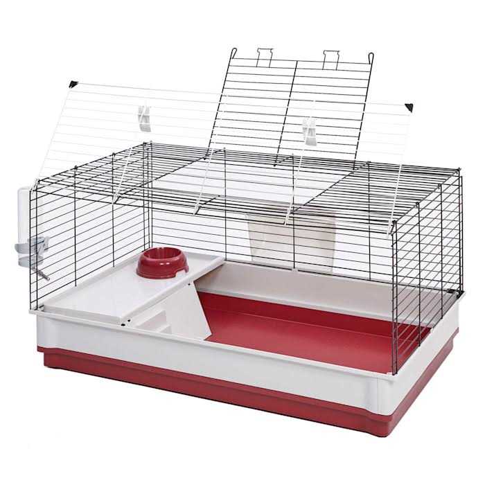 Rabbit Home R316