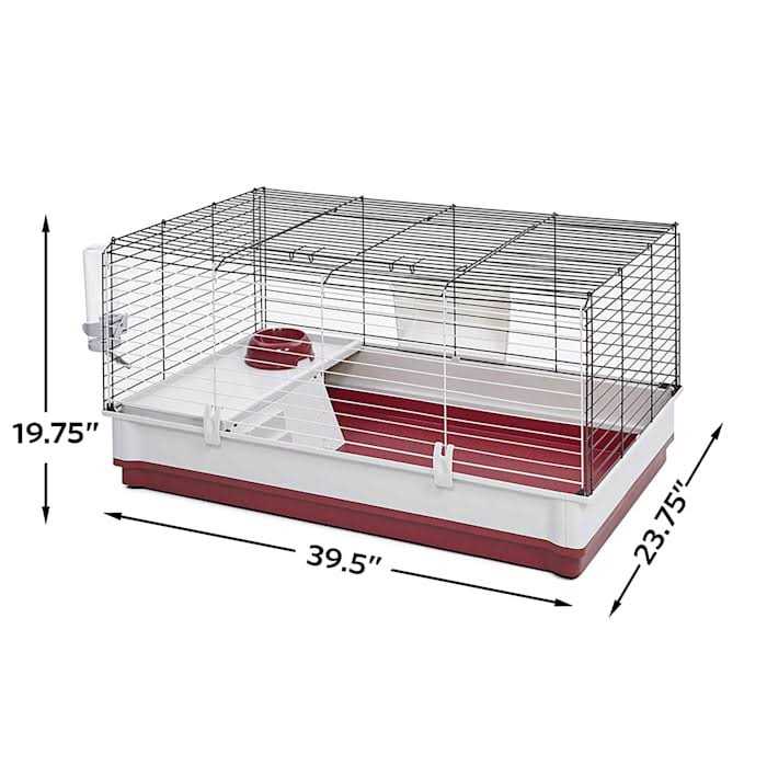 Rabbit Home R316