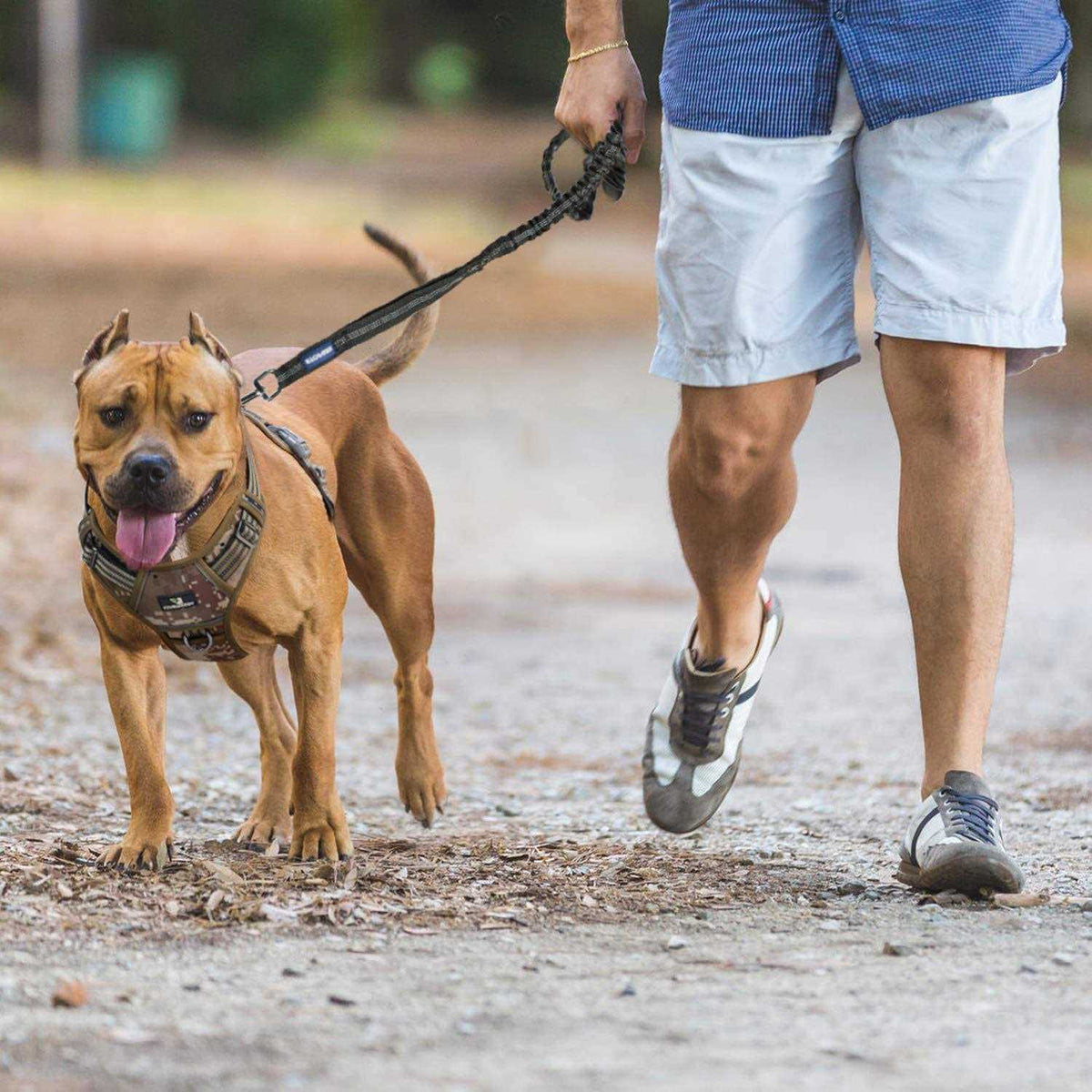 Heavy Duty Bungee Dog Leash Z851