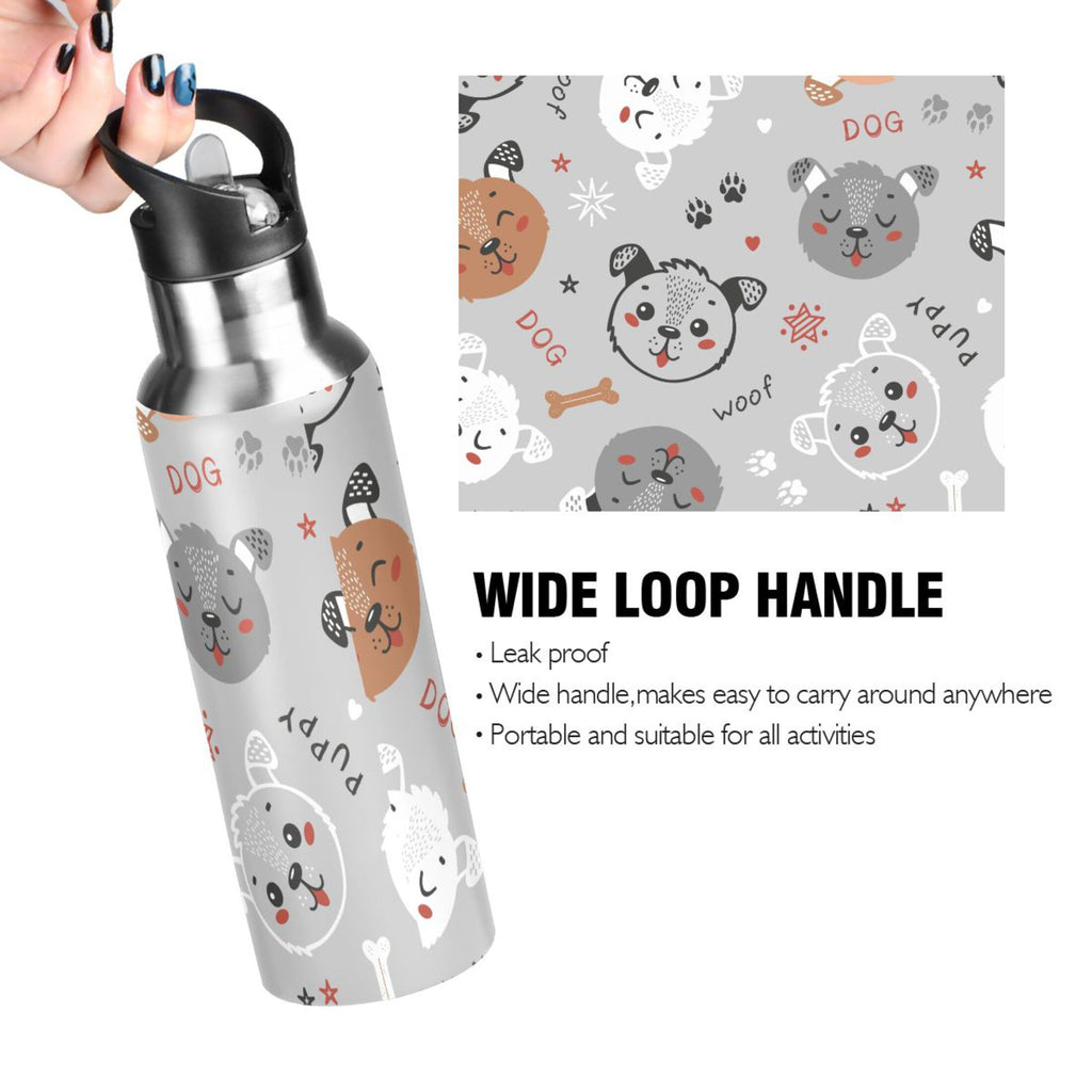 Insulated Stainless Steel Water Bottle with Straw Lid 20 oz O2116