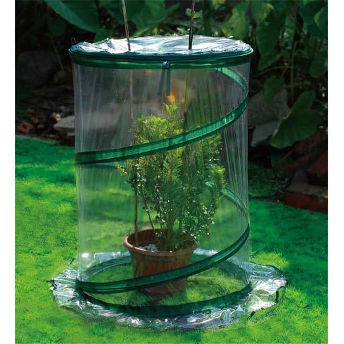 Pop-Up Greenhouse Small, Box of 10 X976165