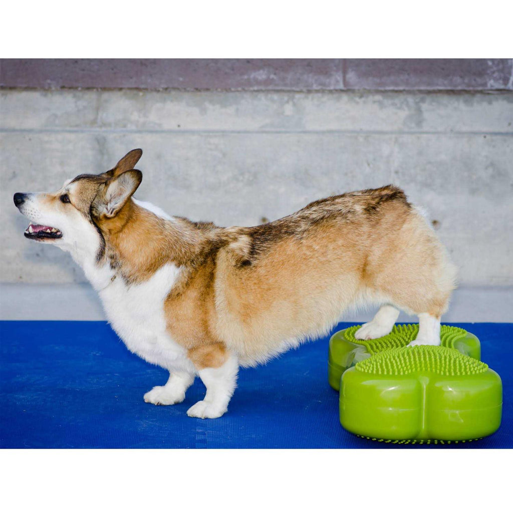 Agility Training X527