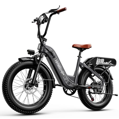 Electric Bike with 1500W Motor, 48V 20Ah Battery, 20" Fat Tire, 7-Speed T440175