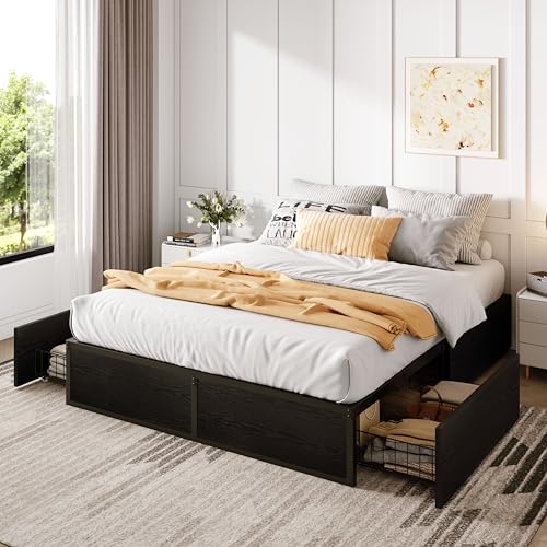 Black Queen Platform Bed Frame with 2 Storage Drawers E293