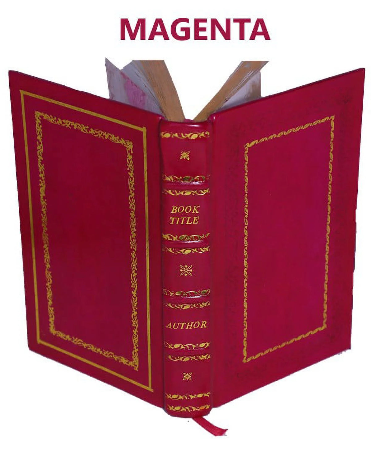 Premium Leather Bound Historical Memoir V9828