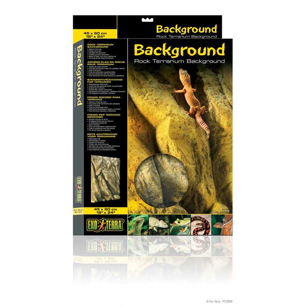 Rock Terrarium Background J712321