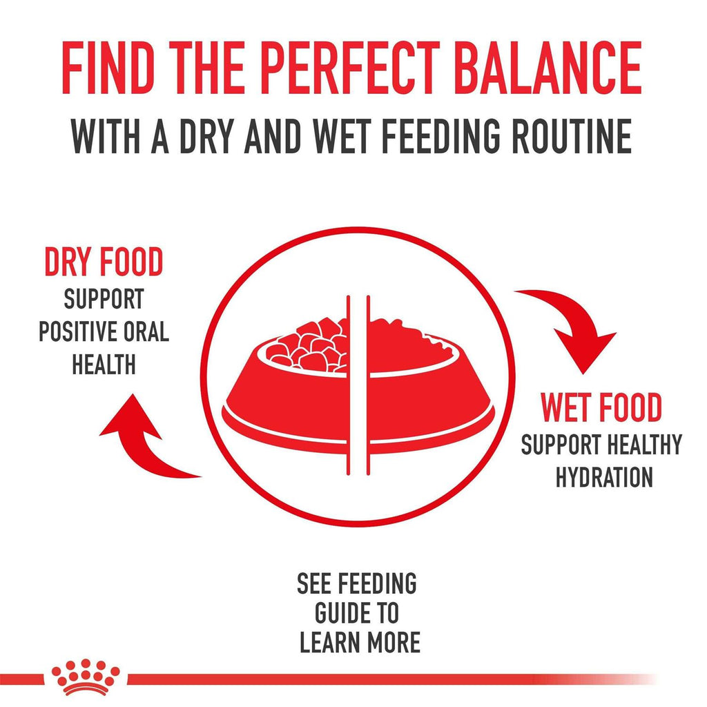 Medium Weight Care Dry Dog Food E520176