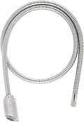 Stainless Steel Finish Hose and Head S36014