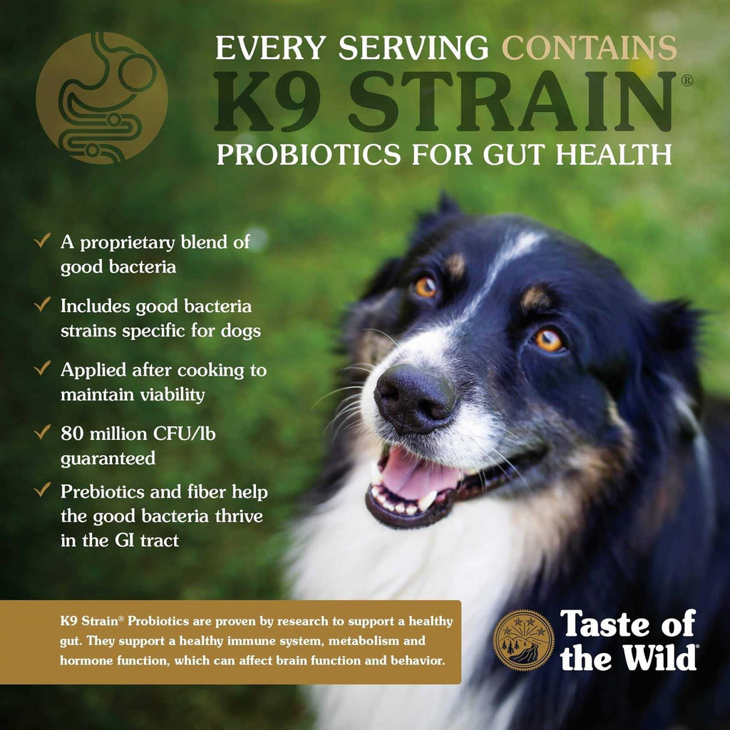 Dog Food G16354