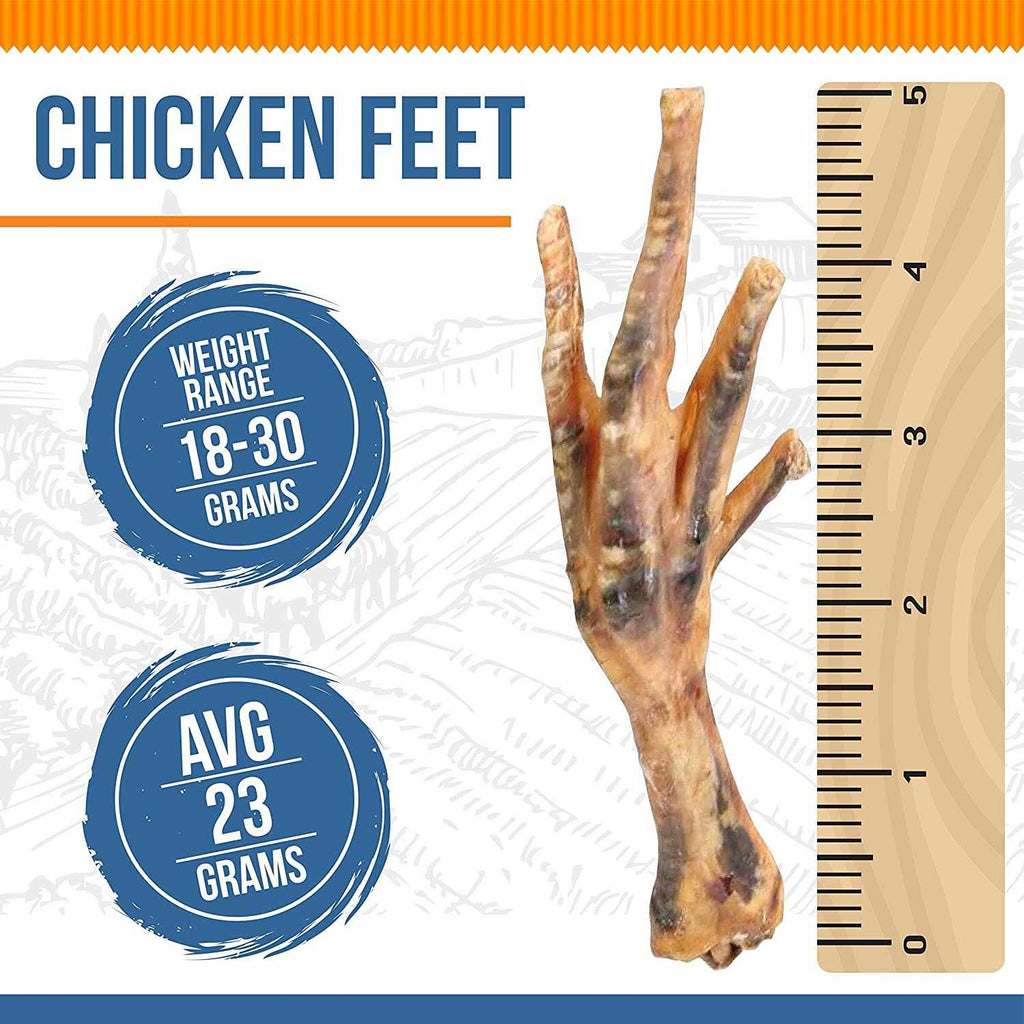 Chicken Feet Dog E81187