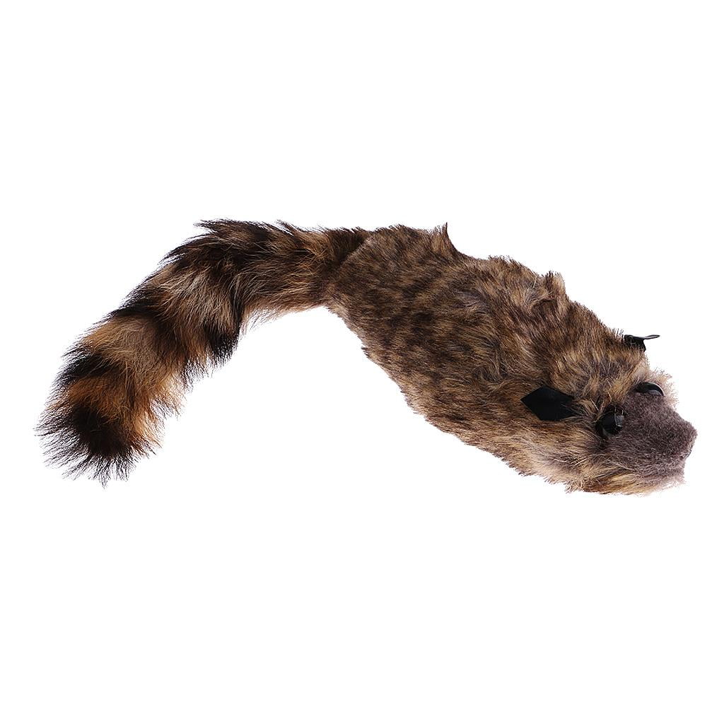 Raccoon Training O133