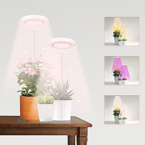 2 Pack LED Grow Light with Timer W655441
