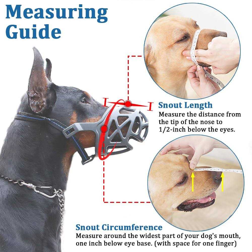 Dog Muzzle W692638