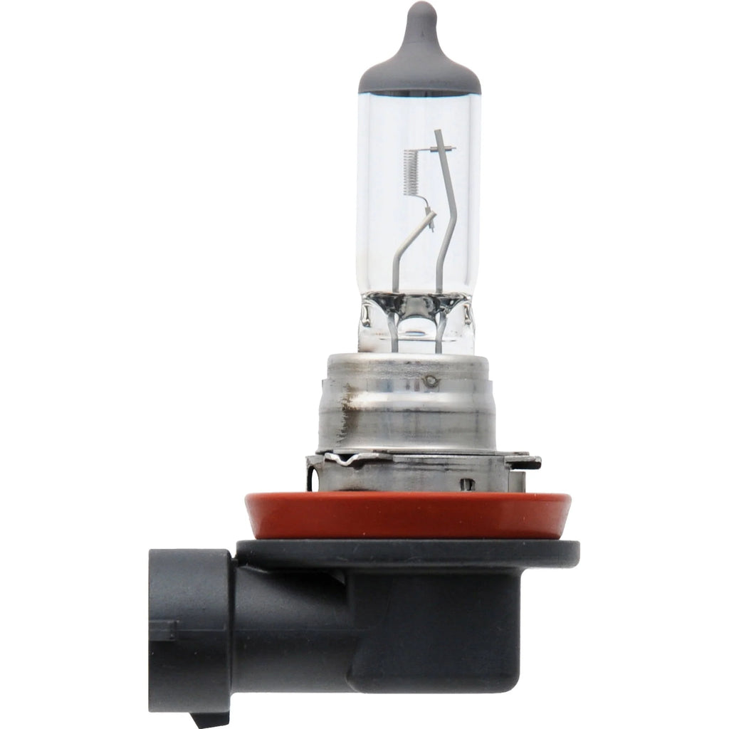 H11 Halogen Headlight Bulb, Pack of 2 E665463