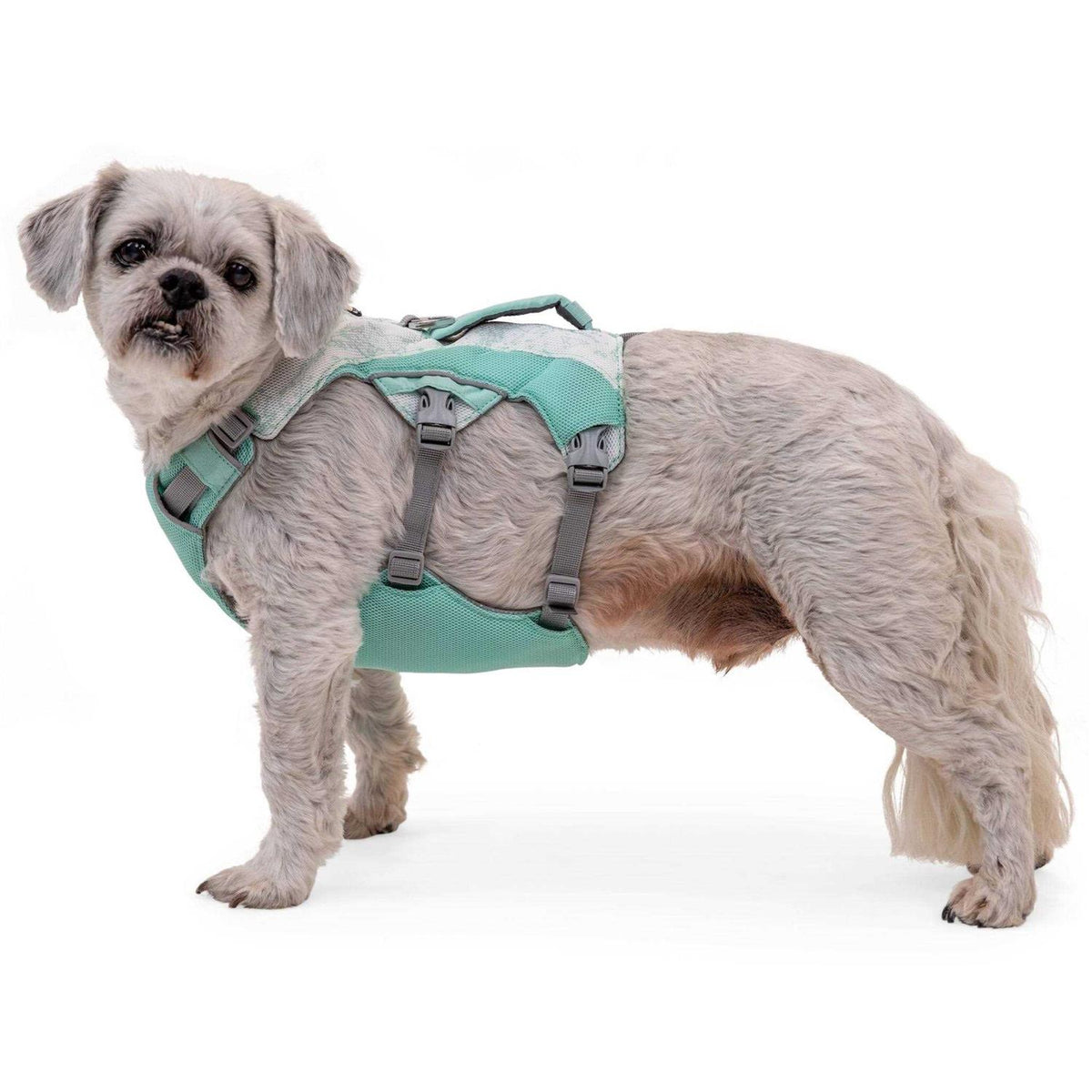 Dog Harness I355