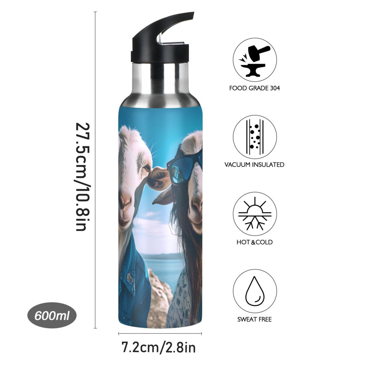 20 oz Insulated Stainless Steel Water Bottle with Straw Lid F47032