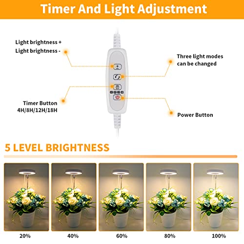 2 Pack LED Grow Light with Timer W655441
